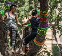 İstanbul, Turkey: Taksim Gezi Park occupied İstanbul, Turkey: Taksim Gezi Park occupied
