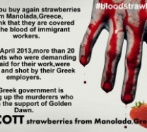 Employers reportedly shot at migrant farm workers who demanded six months’ back pay Employers reportedly shot at migrant farm workers who demanded six months’ back pay