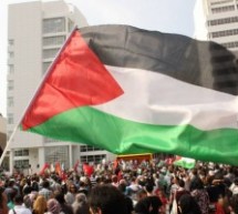 Demonstration in solidarity with the Palestinian people. Den Haag Demonstration in solidarity with the Palestinian people. Den Haag